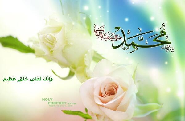 عکس گل محمدی برای تصویر زمینه