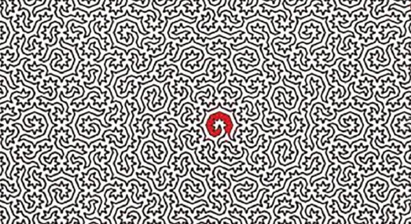 عکس حرکت اسب در شطرنج