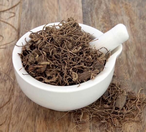 عکس گیاه کوهوش سیاه