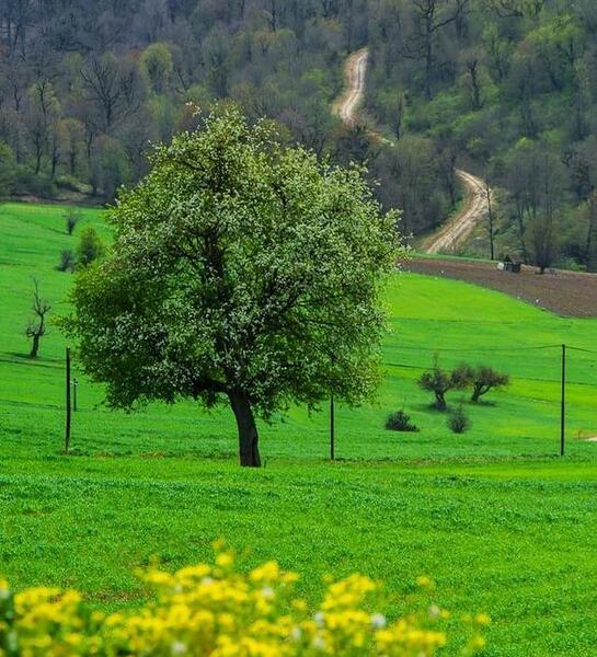 عکس هایی از طبیعت ساری