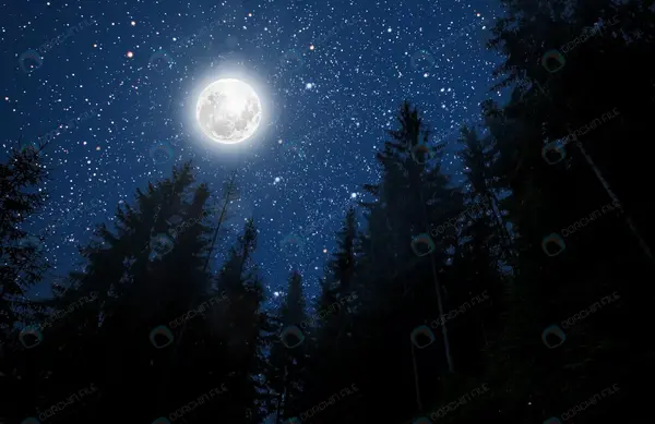 عکس اسمان شب پر ستاره