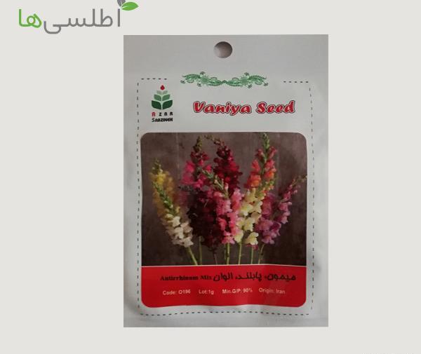 عکس انواع گل میمون