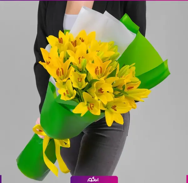 عکس گل لیلیوم زرد