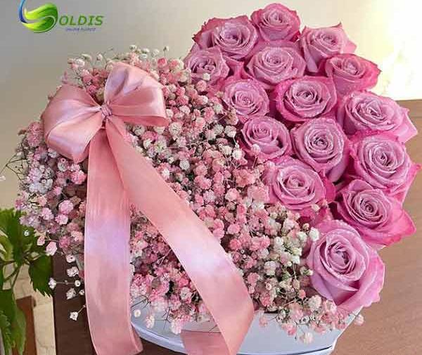 عکس گل زیبا عاشقانه جدید