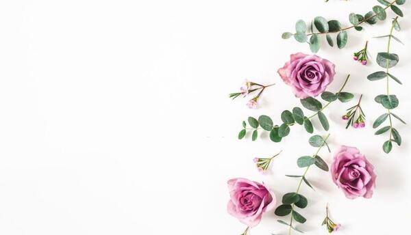 عکس گل عاشقانه برای پروفایل واتساپ