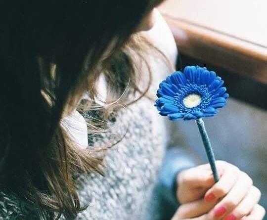 عکس گل عاشقانه برای پروفایل واتساپ