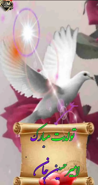 عکس تولدت مبارک امیر جان