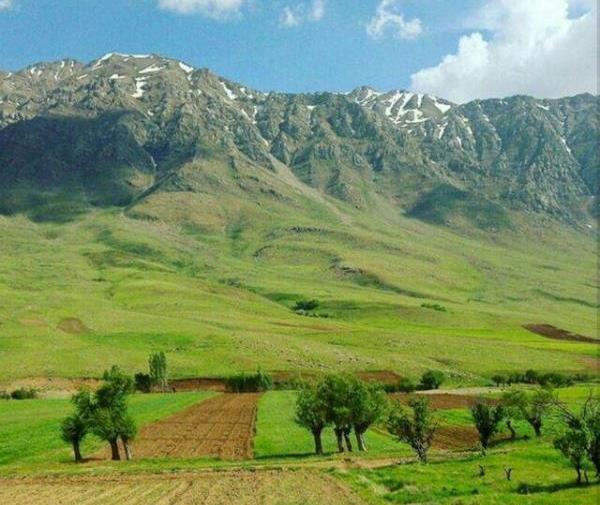 عکس از طبیعت کردستان ایران