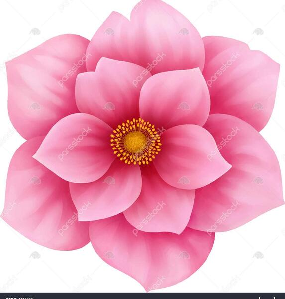 عکس گل کارتونی برای نقاشی