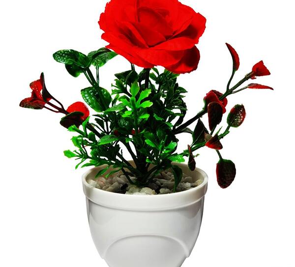 عکس گل نسترن مصنوعی
