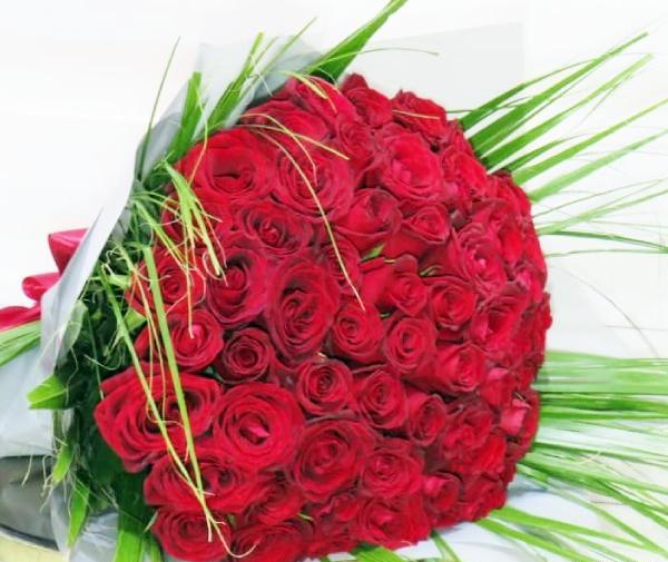 عکس گل رز قرمز عاشقانه جدید
