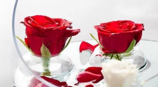 عکس گل رز قرمز عاشقانه جدید