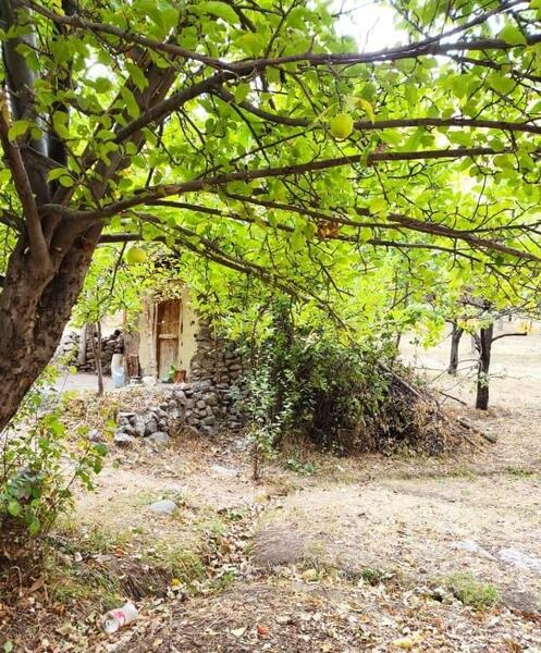 عکس طبیعت روستای اندریان