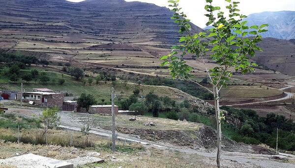 عکس طبیعت روستای اندریان