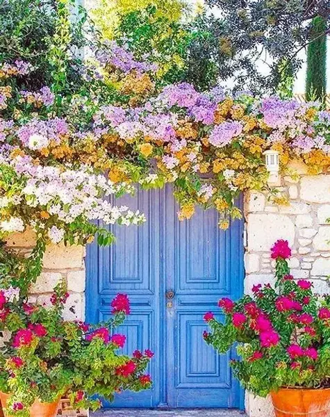 عکس گل و طبیعت برای تصویر زمینه