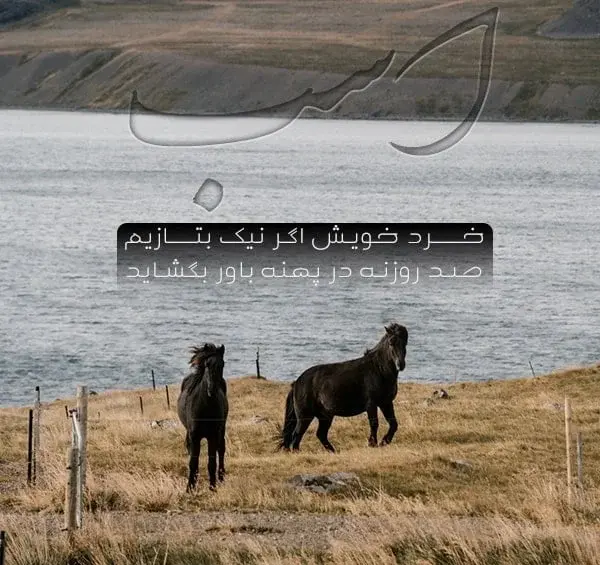 عکس اسب زیبا دختر