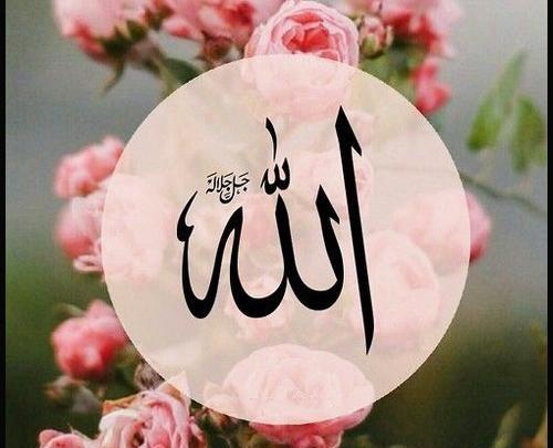 عکس عكس كلمه الله