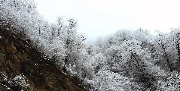 عکس از طبیعت زمستانی ایران