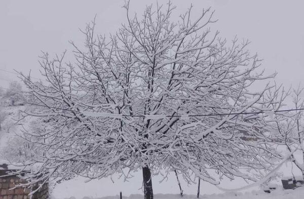 عکس از طبیعت زمستانی ایران