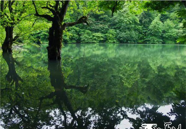 دانلود عکس از طبیعت شمال