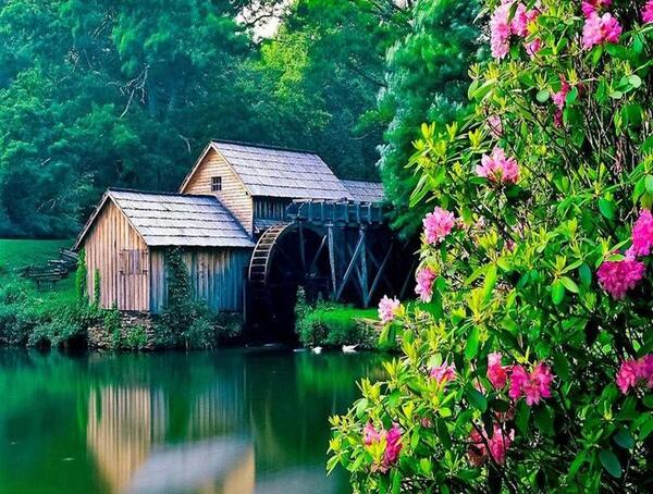 دانلود عکس طبیعت برای تصویر زمینه