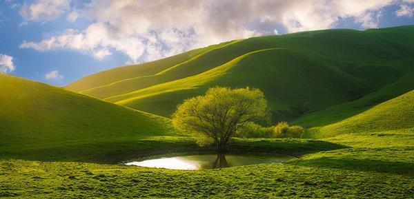 عکس هایی از طبیعت فانتزی