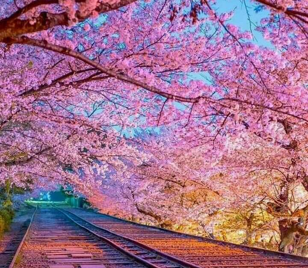 عکس هایی از طبیعت فانتزی