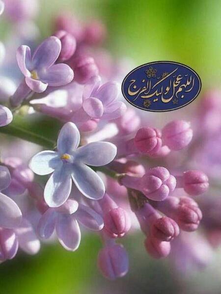 زیباترین عکس امام زمان بدون متن