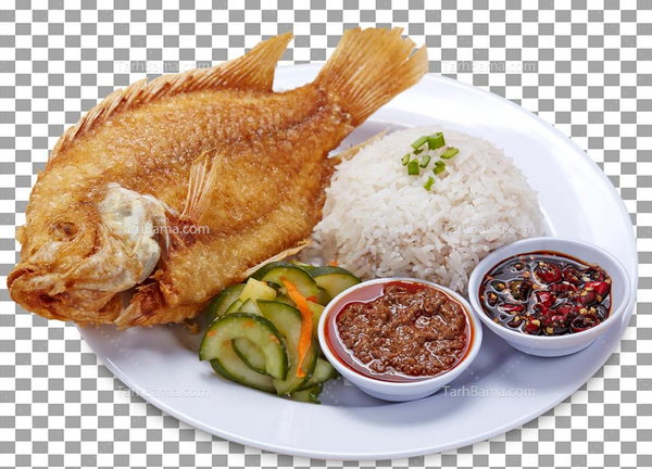 عکس غذا ی ایرانی