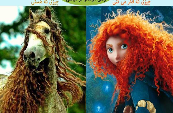 عکس های خنده دار از اسب