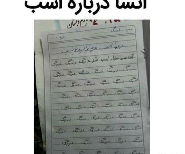 عکس های خنده دار از اسب
