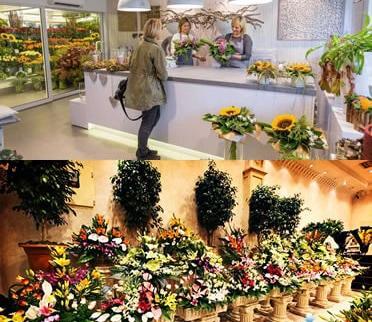 عکس مغازه گل فروشی