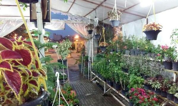 عکس مغازه گل فروشی