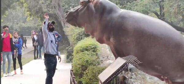 عکس اسب آبی در باغ وحش