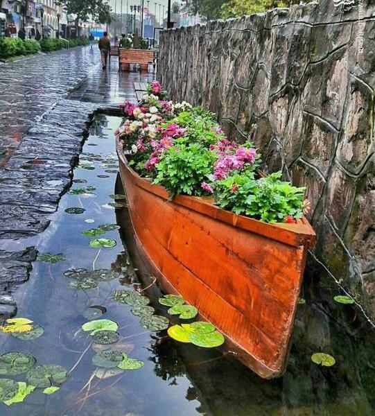 عکس های طبیعت رشت