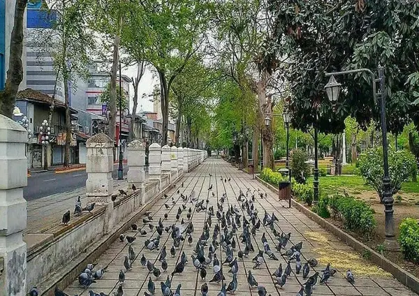 عکس های طبیعت رشت