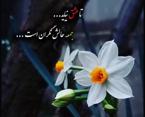 عکس امام زمان و روز جمعه