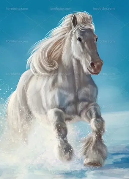 عکس اسب سفید عکس اسب سفید