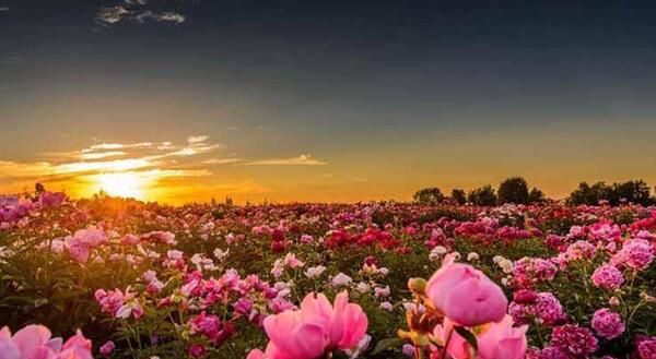 عکس طبیعت آرامش بخش