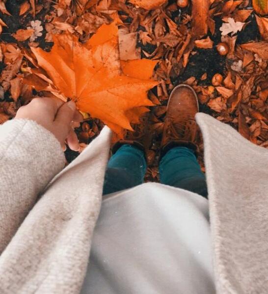 عکس غمگین پاییزی بدون متن