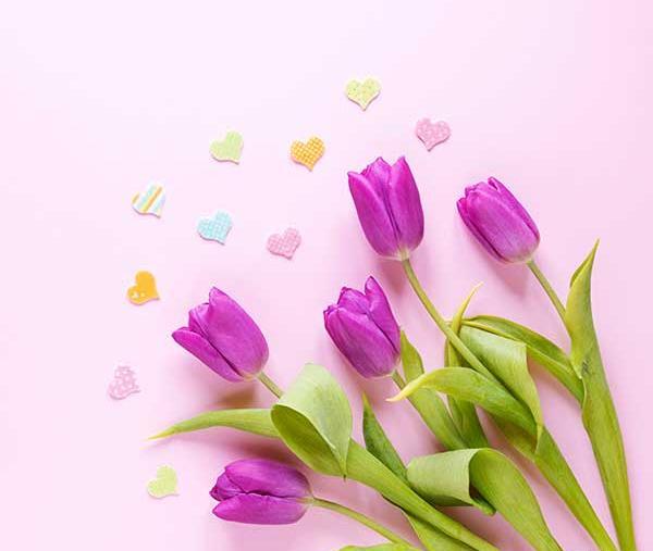 عکس گل برای تصویر زمینه دخترانه