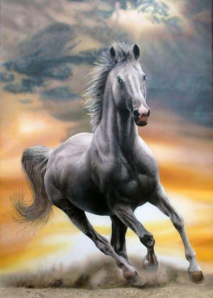 عکس اسب زیبا برای تصویر زمینه
