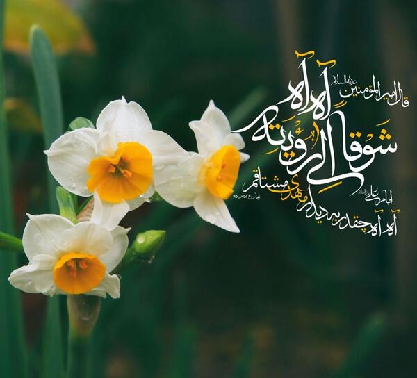 عکس در مورد امام زمان عجل الله تعالی فرجه الشریف