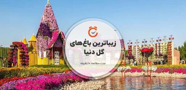 عکس طبیعت گلهای رنگارنگ