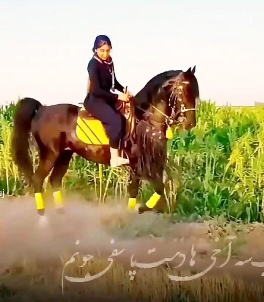 عکس دختر اسب سوار فیک