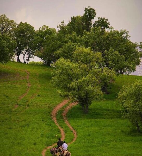 عکس های طبیعت خوزستان