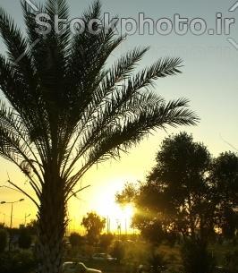 عکس های طبیعت خوزستان
