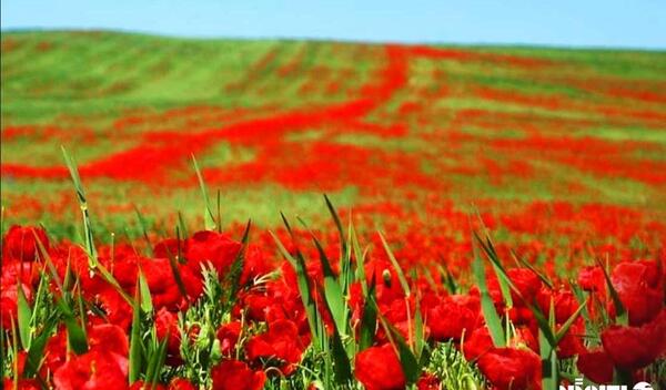 عکس های طبیعت خوزستان