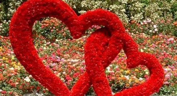 عکس عاشقانه جدید قلب