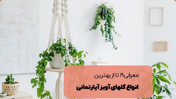 عکس گل های شمالی